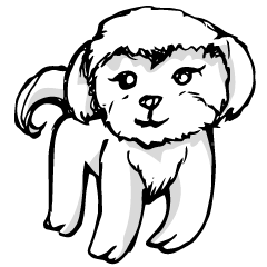 [LINEスタンプ] マルチーズMr.Toto dog.