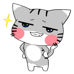 [LINEスタンプ] Pocchi the Cat