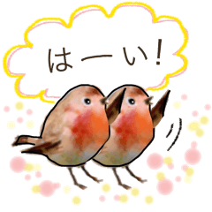 [LINEスタンプ] 使える 小鳥の日常会話の画像（メイン）
