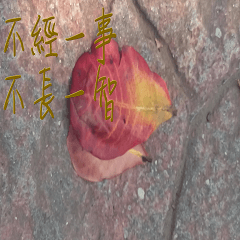 [LINEスタンプ] beautiful pictures:Chinese idioms