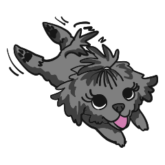 [LINEスタンプ] トイプー・カリスの日常