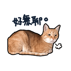 [LINEスタンプ] Katty diary