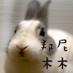 [LINEスタンプ] Bunny Mumu