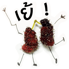 [LINEスタンプ] mulberry party