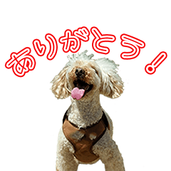 [LINEスタンプ] りくちゃんの画像（メイン）