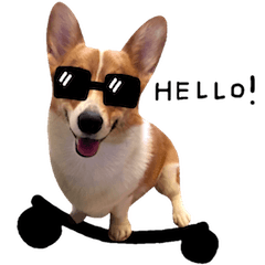 [LINEスタンプ] Handsome Corgi - From