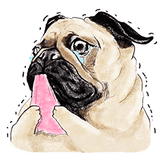 [LINEスタンプ] May the Pug be with youの画像（メイン）