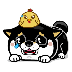 [LINEスタンプ] SHIBA KONBU