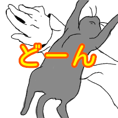 [LINEスタンプ] 白井んちのクロ猫