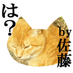 [LINEスタンプ] 佐藤が使おう！名前スタンプ