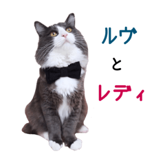 [LINEスタンプ] ノルウェージャンのルヴとレディ