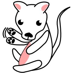 [LINEスタンプ] kangaroo kangaroo kangaroo