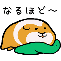 [LINEスタンプ] 暮らしに寄り添うモルモット