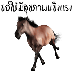 [LINEスタンプ] Mha Choke Dee (Horse Good Luck)の画像（メイン）
