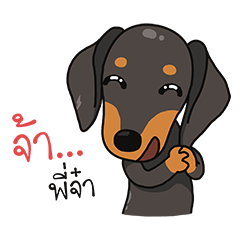 [LINEスタンプ] Dachshund Choei Loei