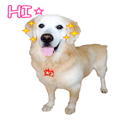 [LINEスタンプ] DingDing Day