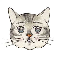 [LINEスタンプ] かわいいアメショ猫