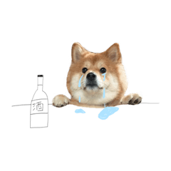 [LINEスタンプ] shibainu garlic