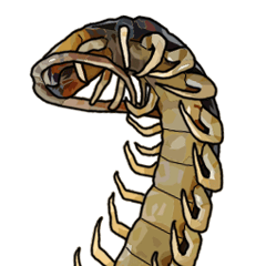 [LINEスタンプ] Sleepy Centipede (J)