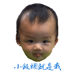 [LINEスタンプ] Small Rice Ball daily