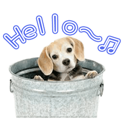 [LINEスタンプ] 中田家のわんぱくdog