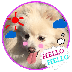 [LINEスタンプ] hellohello