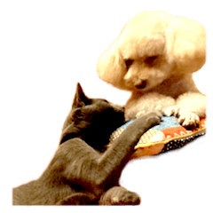 [LINEスタンプ] ノアとリコ