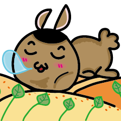 [LINEスタンプ] Pompom rabbits dailyの画像（メイン）
