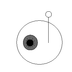 [LINEスタンプ] 目玉の頭の画像（メイン）