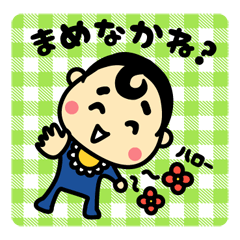 [LINEスタンプ] しまねの赤ん坊だに 【出雲弁】