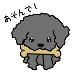 [LINEスタンプ] 黒トイプードルのモコ