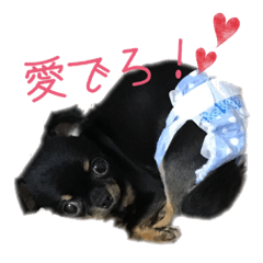 [LINEスタンプ] にぎやか家族