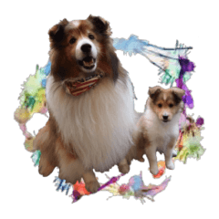 [LINEスタンプ] シェルティ犬★ベア＆ルチェ