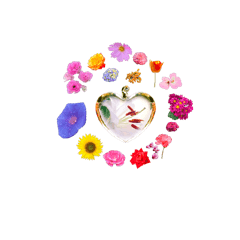 [LINEスタンプ] 花のつぶやき