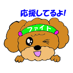 [LINEスタンプ] 愛らしいトイプードル