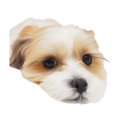 [LINEスタンプ] マルシーズー。