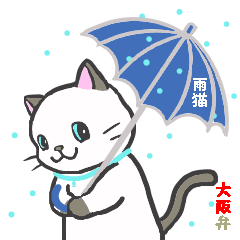 [LINEスタンプ] 雨猫の日常会話（大阪弁mix）