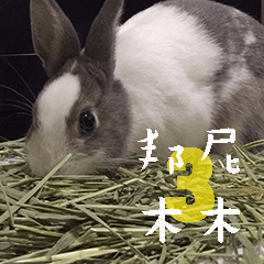[LINEスタンプ] bunny mumu 3