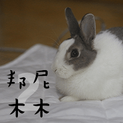 [LINEスタンプ] bunny mumu 2