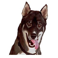 [LINEスタンプ] My lucky dogs
