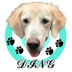 [LINEスタンプ] DingDing Day (3)