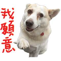 [LINEスタンプ] Beauty white NO.3