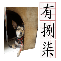 [LINEスタンプ] Ahbee Little Monster