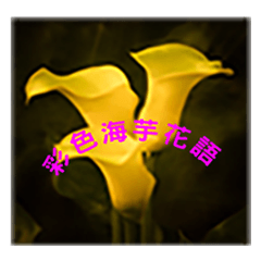 [LINEスタンプ] Color taro flower language