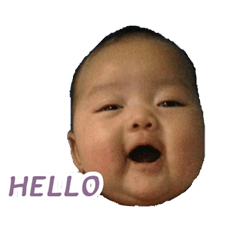 [LINEスタンプ] Hello Ozone
