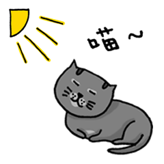 [LINEスタンプ] Cat Lovers' Daily Dialogue