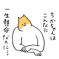 [LINEスタンプ] ちかちゃんのためのスタンプ