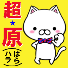 [LINEスタンプ] 超★原(はら・ハラ)なネコの画像（メイン）