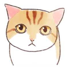 [LINEスタンプ] トロさんのなぞ姿勢