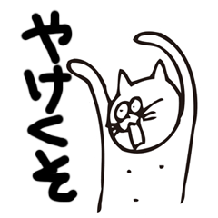 [LINEスタンプ] やけくそ気味なネコのスタンプ（無難）